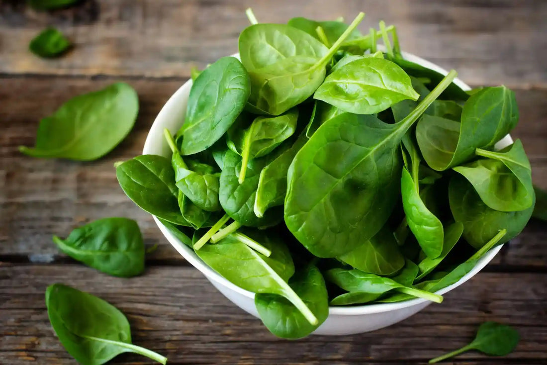 Folate Beyond Pregnancy