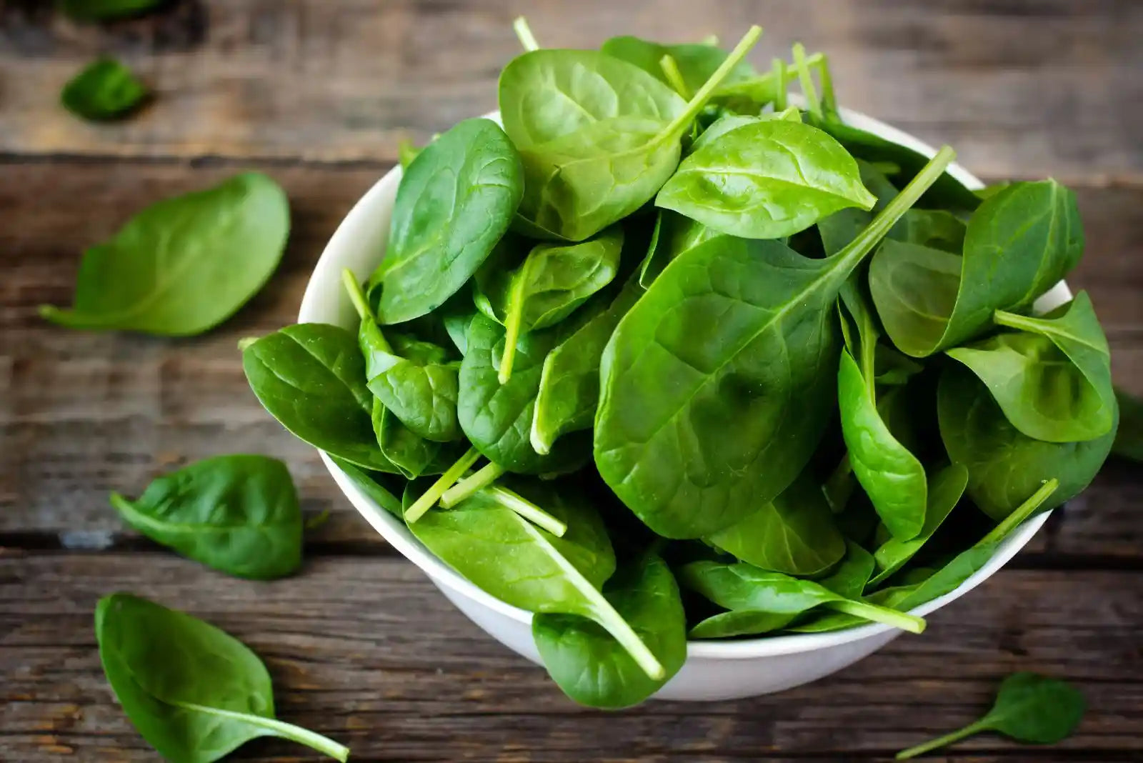 Folate Beyond Pregnancy