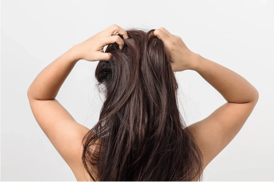 The scalp: the living part of the hair system