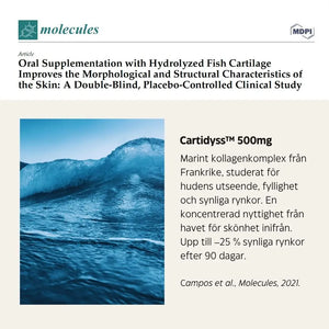 Beauty Complete - avancerat kosttillskott för huden med kollagen, hyaluronsyra, fytoceramider & vitaminer