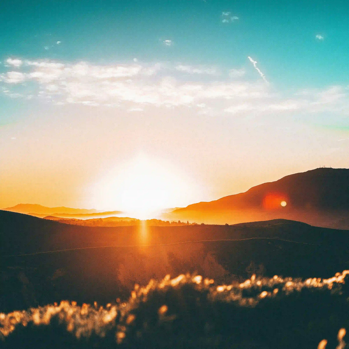 Låg sol över en höjd, vitamin D3 och den svenska vintern